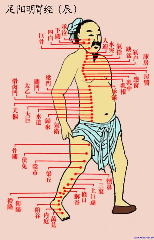 ancient portrait of stomach meridian