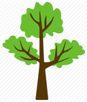 Wood