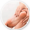 physiological feature heel