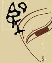 Inspection Icon 01