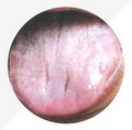 Greasy Tongue Coating