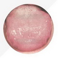 Slippery Tongue Coating