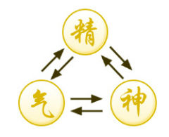 Theory of Essence and Qi Icon 02