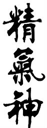 Theory of Essence and Qi Icon 03