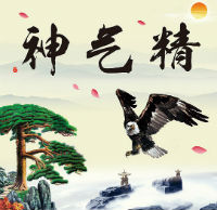 Theory of Essence and Qi Icon 04