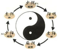 Mechanism of Disease Theory