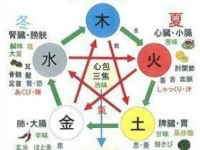Theory of Sense Organs and Structures