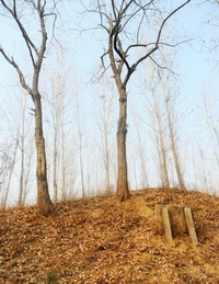 Zhēn Quán Cemetery