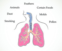 TCM Knowledge:Wheeze,heavy breathing