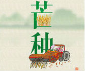 Mang Zhong,the Grainin Ear