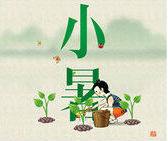 Xiao Shu,the Lesser Heat