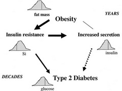 Obesity is upstream to the diabetes outbreak!