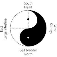 Introduction of Six-meridian 3 Yin 3 Yang Taiji 03
