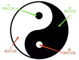 Defense-Qi-Nutrient-Blood ICON 01