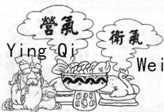 Defense-Qi-Nutrient-Blood Syndrome Differentiation