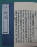 Hua Shi Zhong Zang Jing:the Central Treasury Canon