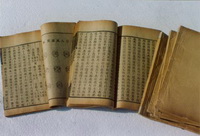 Ben Jing:Shen Nong Herbal