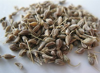 brown herb seed grains of aniseseed