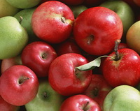 green and red apple fruits