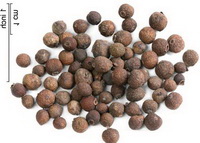 brownish herb grains of Allspice