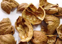 brownish walnut seed shells
