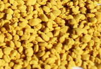 light yellow bee pollen grains of Cole flower