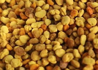 Bee pollen grains of hundred flowers