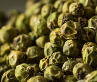 grains of green pepper corns are piled together