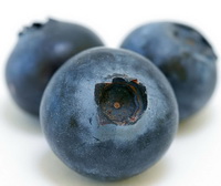 Bilberry
