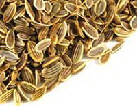 yellow brownish dill fruit grains are piled together