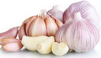 several Garlic bulbs