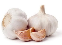white Garlic bulbs
