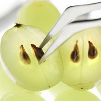 two greenish grapes with two small brown seeds