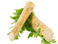 two root segments of Horseradish