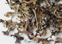 Iceland Moss:brownish Iceland lichen