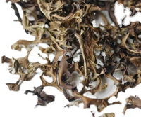 Iceland Moss:brownish dried Iceland lichen