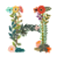 H