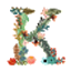 K