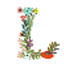 L