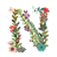 N