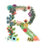 R