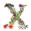 X