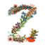 Z