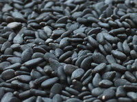 natural source of lysine:black sesame seeds