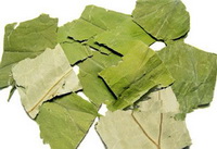 dried pale green lotus leaf square pieces