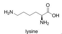 molecular formula of L-lysine