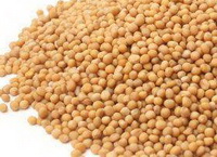 many light brown mustard seeds are piled together