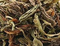 pale brown greenish Nardostachys chinensis Batal Root segments are piled together