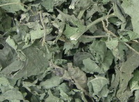dried leaves pieces of Nettle in a pile