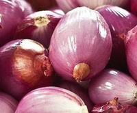 Allium cepa:purple onions are piled together